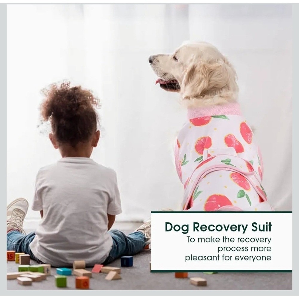 Kuoser Dog Recovery Suit Post Surgery Bodysuit Pet‎ Clothing Peach Print Small